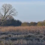 High Fen Wildland Gift Card Ecoswap
