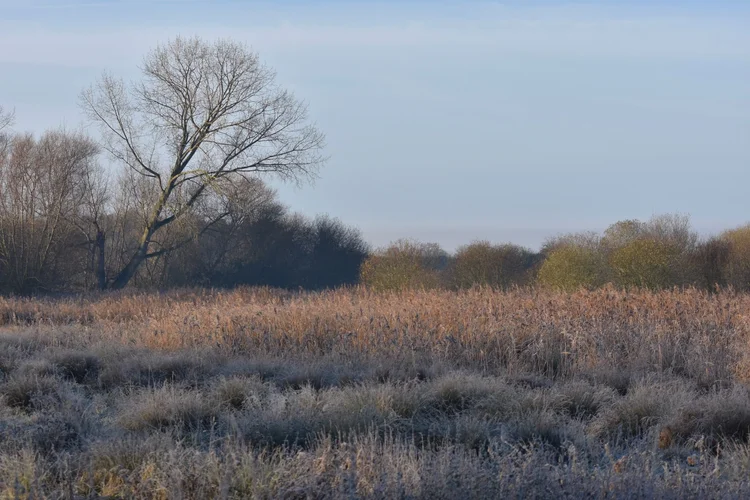 High Fen Wildland Gift Card Ecoswap