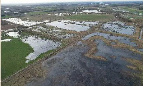 High Fen Wildland Gift Card Ecoswap